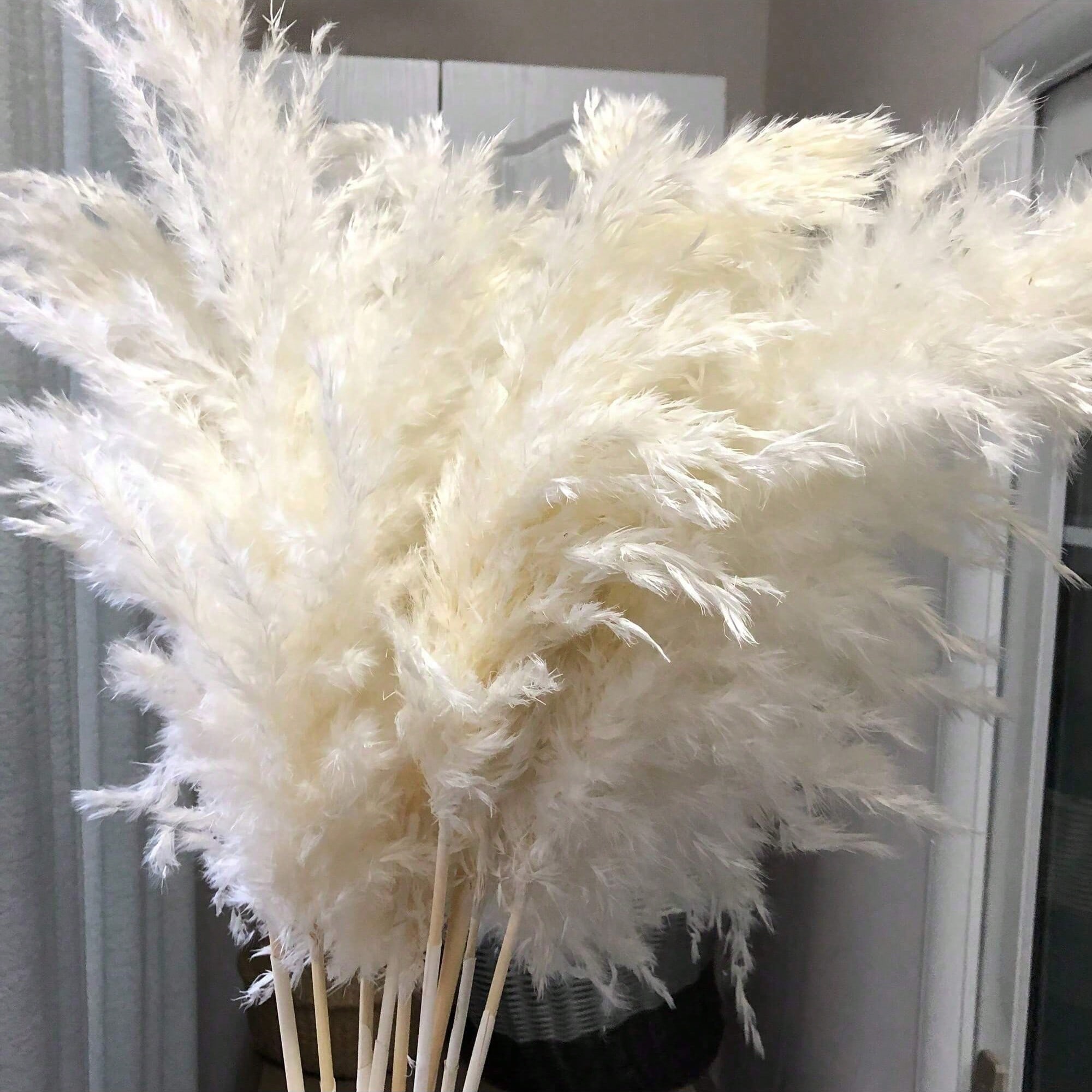 Home Decor Vase With Flowers - 10/20/30pcs White Artificial Pampas Grass Decor
