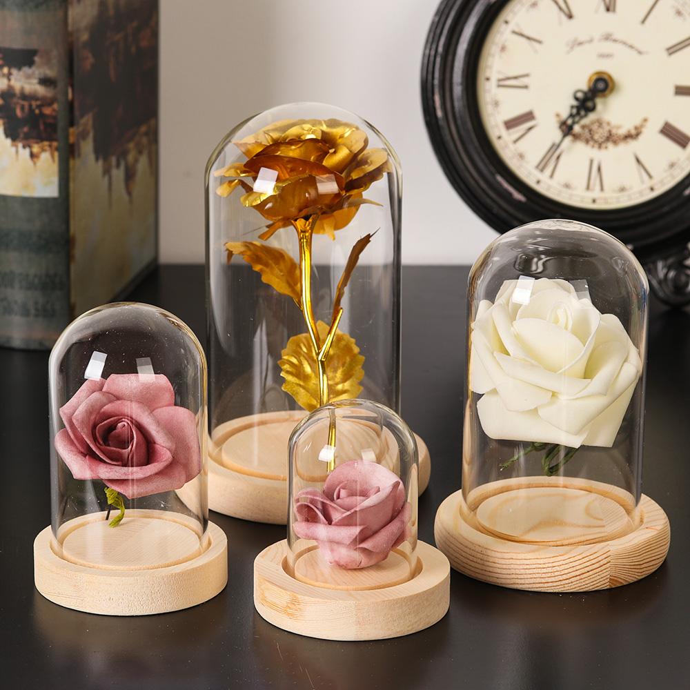 Home Decor Plants Jar Terrariu - Home Decor Vase With Flowers review and price