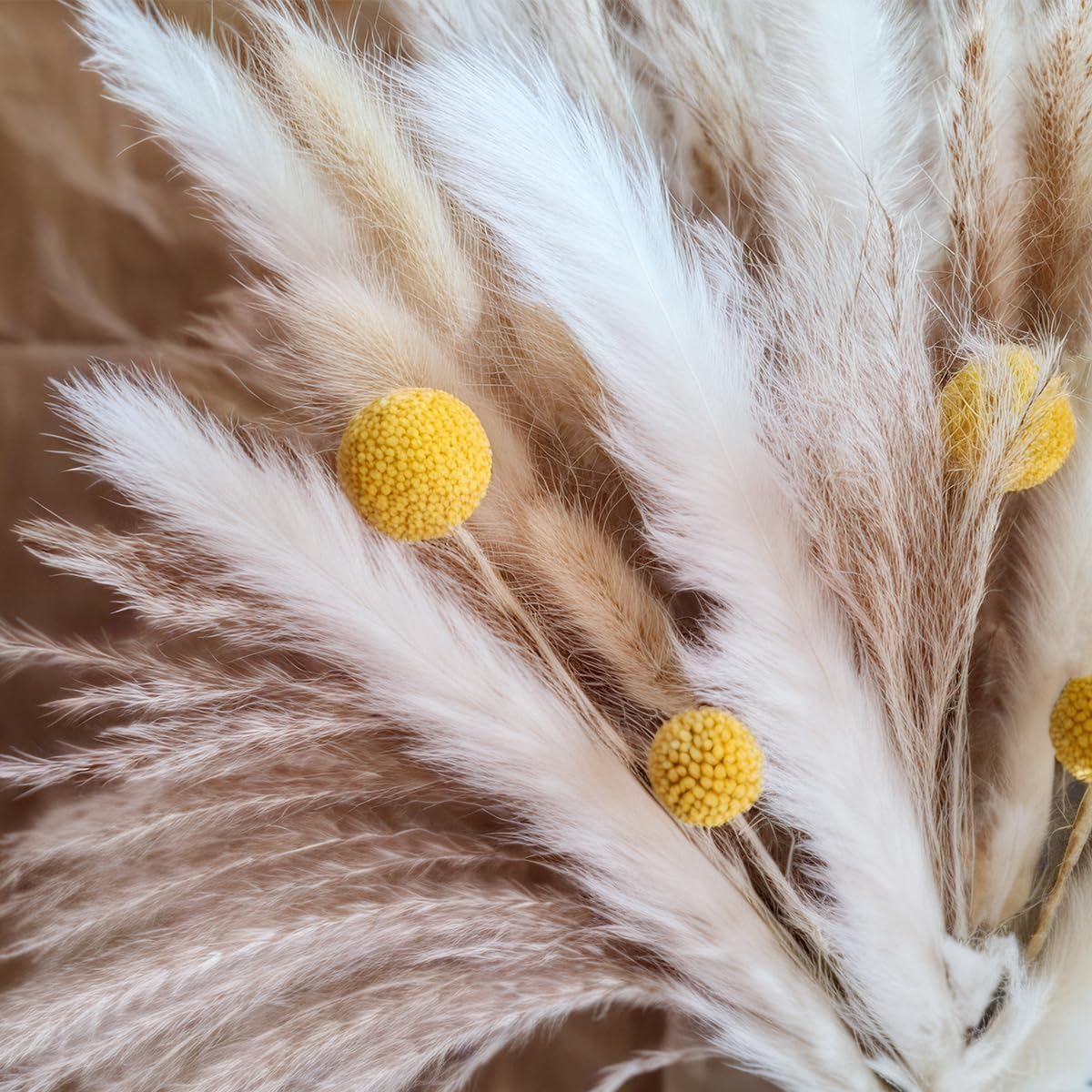 Dried Pampas Grass Bouquet Nat - Home Decor Vase With Flowers review and price