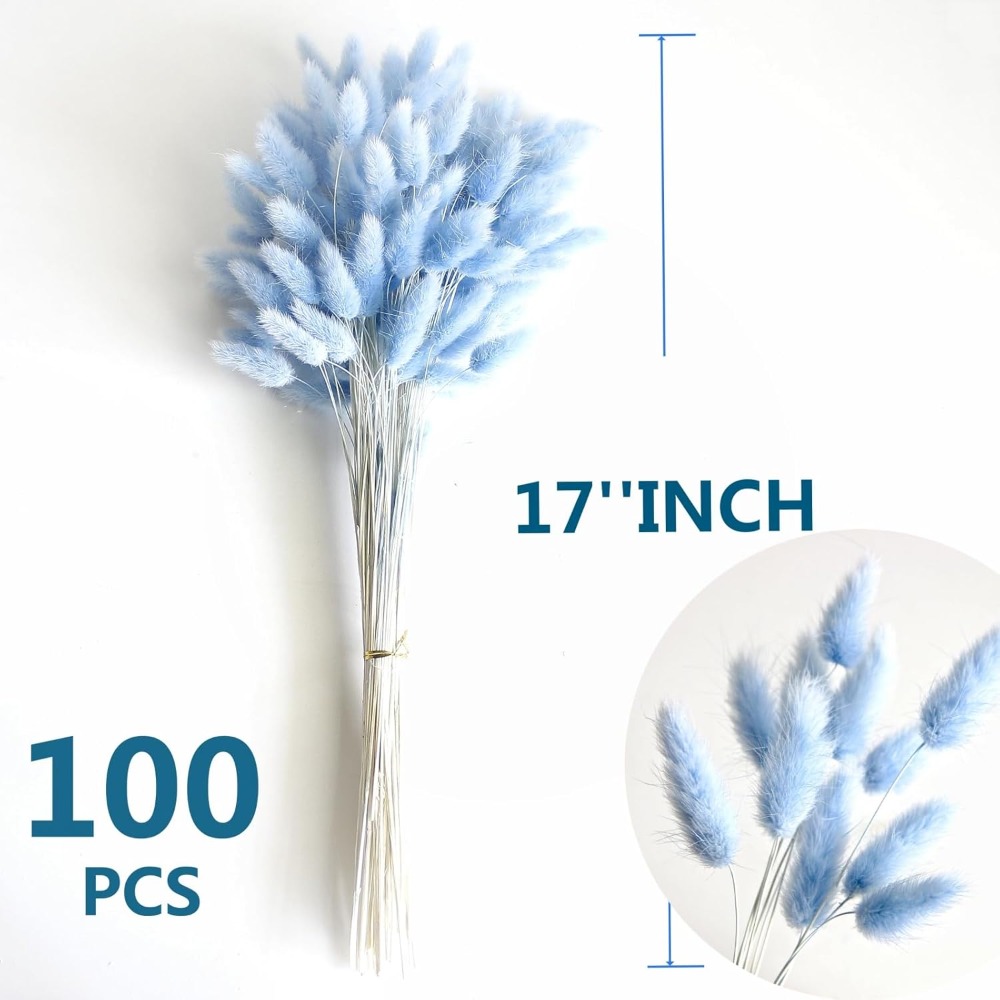 100PCS Blue Hare's-tail Grass  - Home Decor Vase With Flowers review and price