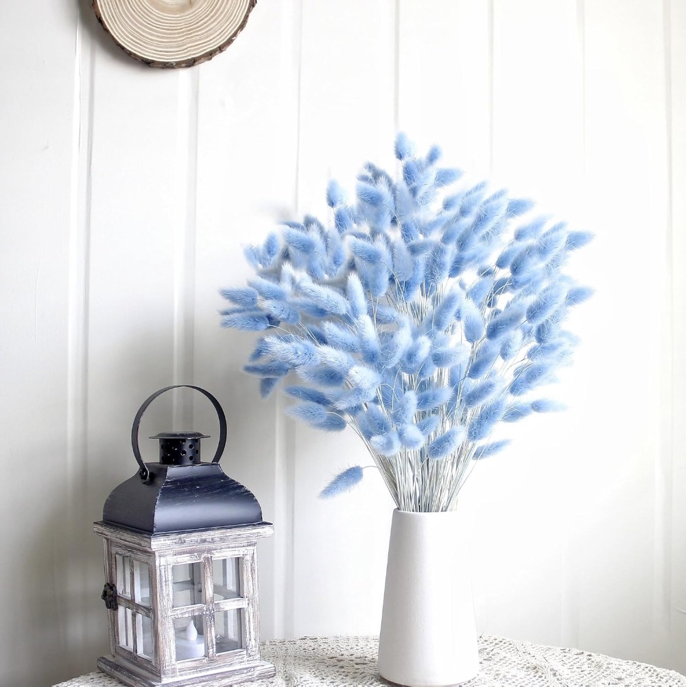 100PCS Blue Hare's-tail Grass  - Home Decor Vase With Flowers review and price