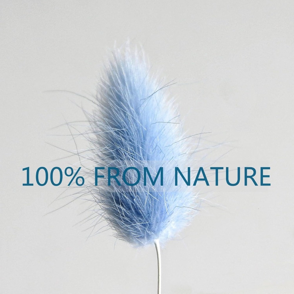 100PCS Blue Hare's-tail Grass  - Home Decor Vase With Flowers review and price