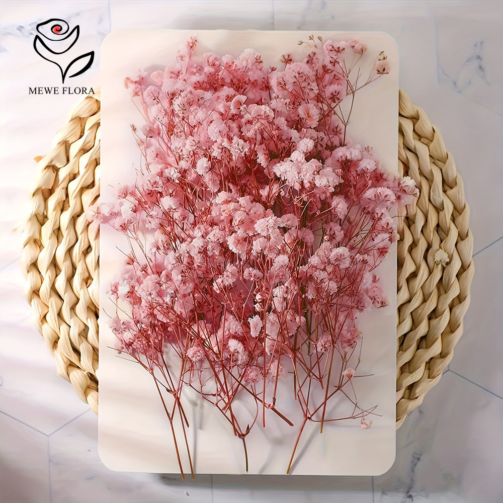 100 Small Branch Dried Baby's  - Home Decor Vase With Flowers review and price
